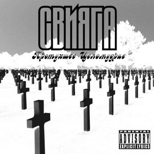 Avatar for Свияга