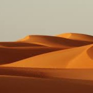 لوتقدر تنساني
