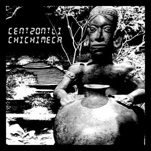 Centzontli Chichimeca