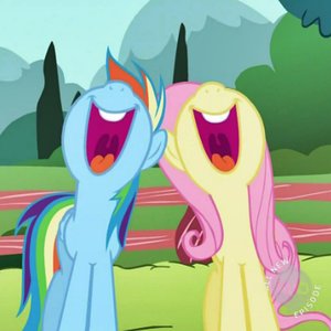 Fluttershy and Rainbow Dash 的头像