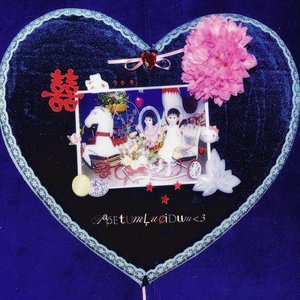 “tapetumlucidum<3”的封面