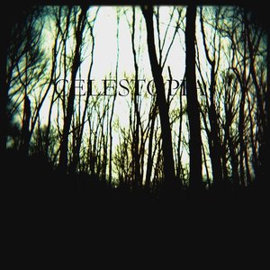 CELESTOPIA 的头像