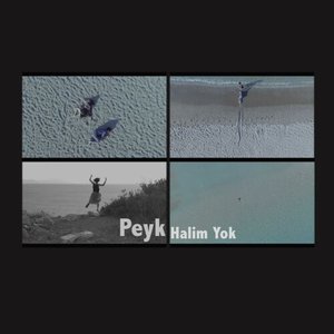 Halim Yok - Single