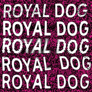 Royal Dog 的头像