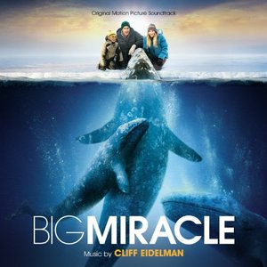 Big Miracle