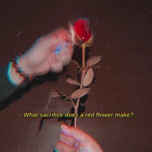 Flor Roja