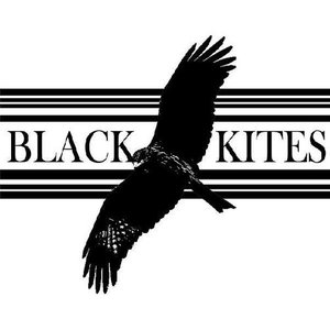 Black Kites