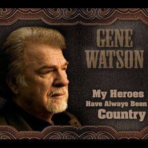 My Heroes Have Always Been Country