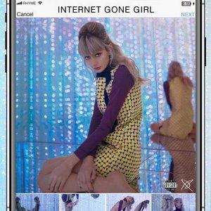 Internet Gone Girl