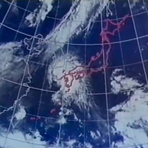 コレクション II