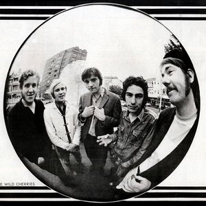 The Wild Cherries 的头像