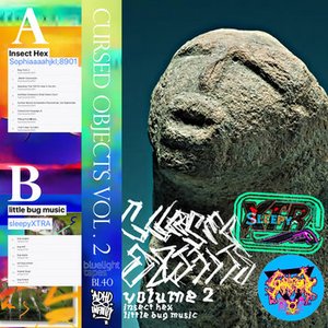 Cursed Objects Vol. 2: Insect Hex / little bug music