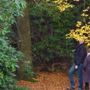 Andrew Hook 的头像