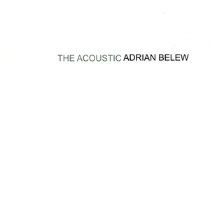 Acoustic Adrian Belew cover