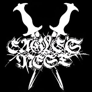 Avatar for Eagle's Nest
