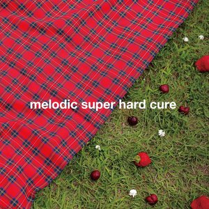 melodic super hard cure
