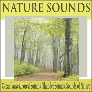 Nature Sounds: Ocean Waves, Forest Sounds, Thunder Sounds, Sounds of Nature
