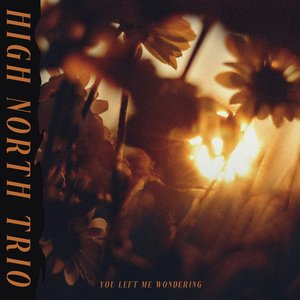 You Left Me Wondering