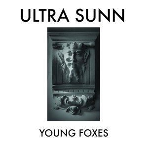 Young Foxes - Single