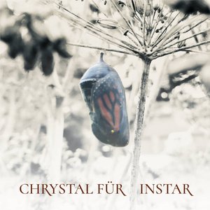 Instar