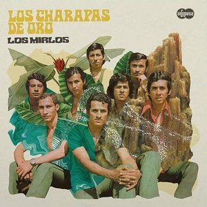 Image for 'Los Charapas de Oro'