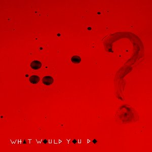 What Would You Do