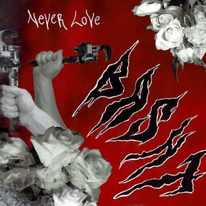 Never Love. - Single