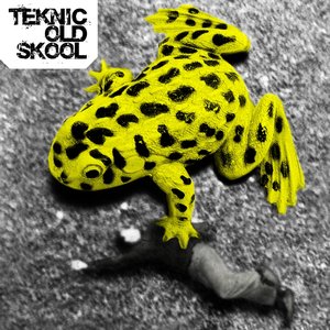 Teknic Old Skool