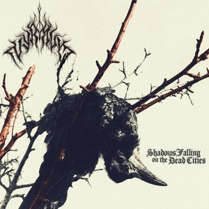 Shadows Falling on the Dead Cities