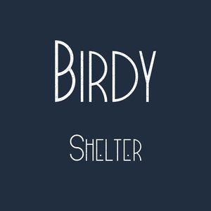 “Shelter”的封面