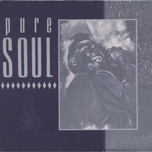 “Pure Soul”的封面