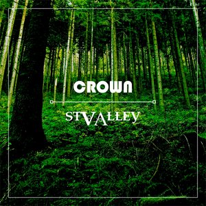 STValley 的头像