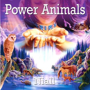 Image for 'Power Animals'