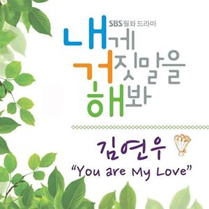 내게 거짓말을 해봐 Ost Pt.4