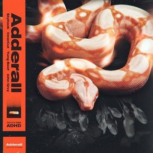 $kyhook, Yung Beef, John Grvy, InnerCut 的头像