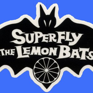 Bild för 'Superfly & The Lemon Bats'