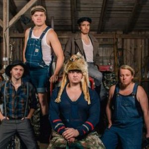 “Steve ’n’ Seagulls”的封面