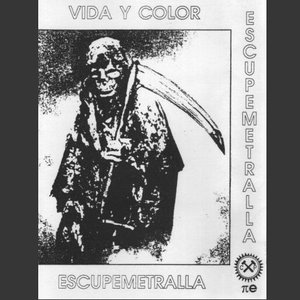 Vida y Color