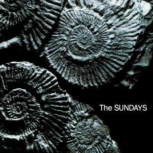 The Sundays - The Sun Always Shines on TV Lyrics - Zortam Music