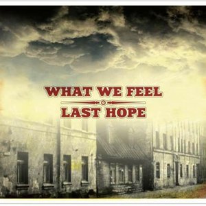 Image for 'What We Feel & Last Hope - Split CD'