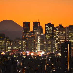 Avatar for Tokyo Sun