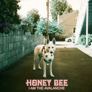 Honey Bee