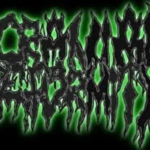 Cranial Deformity 的头像