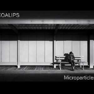 Microparticles