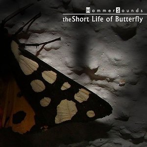 The Short Life of Butterfly