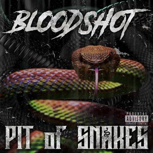 Pit Of Snakes