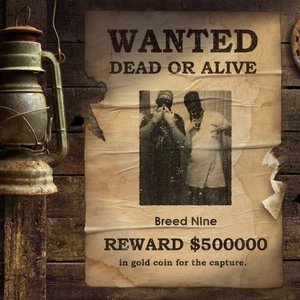 Image for 'Breed Nine'