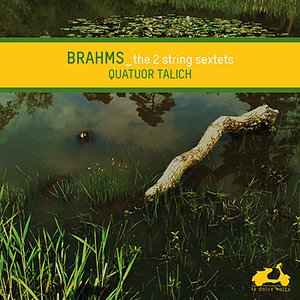Brahms: The 2 String Sextets
