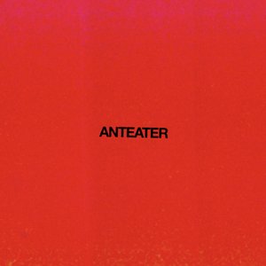 Anteater