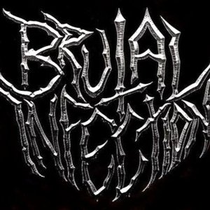 Brutal Infection 的头像